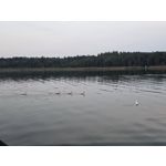 Selbst von Nutzern gemachte Bilder Samsung Galaxy Z Fold7