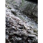 PICTURES FROM THIS PHONE