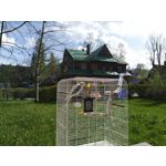 PICTURES FROM THIS PHONE