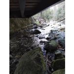 PICTURES FROM THIS PHONE