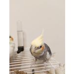 PICTURES FROM THIS PHONE