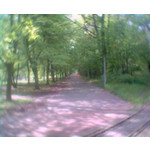 来自这款手机的图片