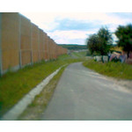 用户照片 Siemens C65