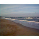 用户照片 Siemens C65