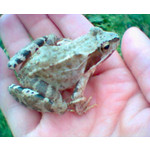 来自这款手机的图片