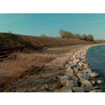 FOTOS AUS DIESEM HANDY