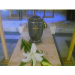 Imágenes de los usuarios Siemens CX70 Imágenes de los usuarios Siemens CX70