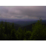 来自这款手机的图片