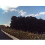 FOTO FATTE CON QUESTO TELEFONO