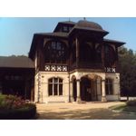 FOTO FATTE CON QUESTO TELEFONO