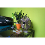 來自這款手機的圖片