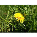 來自這款手機的圖片