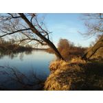 FOTO FATTE CON QUESTO TELEFONO