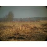 FOTO FATTE CON QUESTO TELEFONO