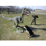 Foto's van de gebruikers Sony Ericsson Hazel