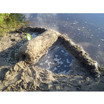 Foto's van de gebruikers Sony Ericsson Hazel