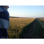 Foto's van de gebruikers Sony Ericsson Hazel