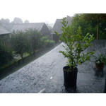 Foto's van de gebruikers Sony Ericsson Hazel