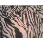 PICTURES FROM THIS PHONE