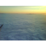 来自这款手机的图片