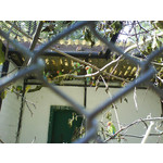 PICTURES FROM THIS PHONE