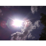 PICTURES FROM THIS PHONE