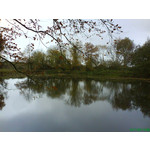 PICTURES FROM THIS PHONE