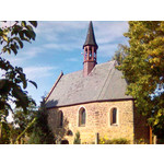 來自這款手機的圖片