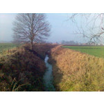 來自這款手機的圖片