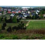 PICTURES FROM THIS PHONE