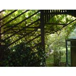 FOTOS AUS DIESEM HANDY