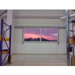 来自这款手机的图片