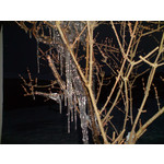 来自这款手机的图片