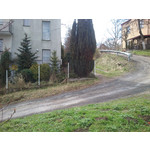 PICTURES FROM THIS PHONE