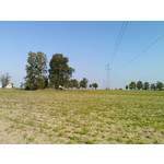 Selbst von Nutzern gemachte Bilder Sony Ericsson P1i