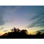 Selbst von Nutzern gemachte Bilder Sony Ericsson P1i