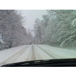 Selbst von Nutzern gemachte Bilder Sony Ericsson P1i