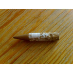 PICTURES FROM THIS PHONE