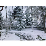 FOTO FATTE CON QUESTO TELEFONO