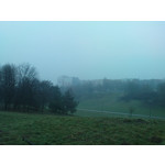 FOTO FATTE CON QUESTO TELEFONO