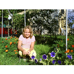 来自这款手机的图片