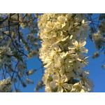 来自这款手机的图片