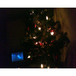 FOTO FATTE CON QUESTO TELEFONO