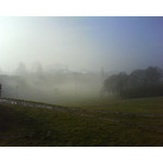 FOTO FATTE CON QUESTO TELEFONO