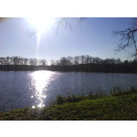 FOTOS AUS DIESEM HANDY