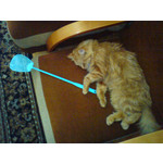 PICTURES FROM THIS PHONE