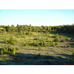 PICTURES FROM THIS PHONE