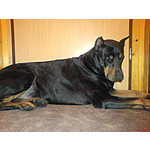 PICTURES FROM THIS PHONE