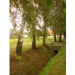 用户照片 Sony Ericsson W880i GE