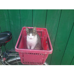 来自这款手机的图片